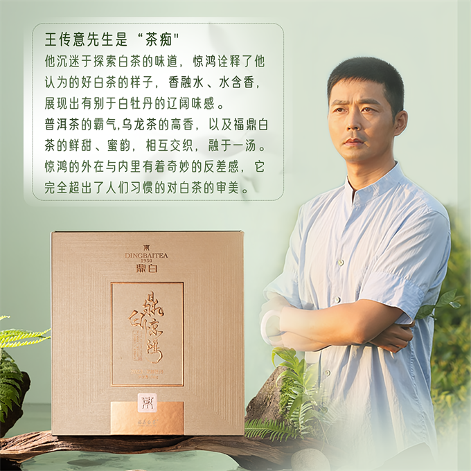 [강렬한 인상 정백] 정백경홍惊鸿 2023년 황야 목단병 특급 200g
