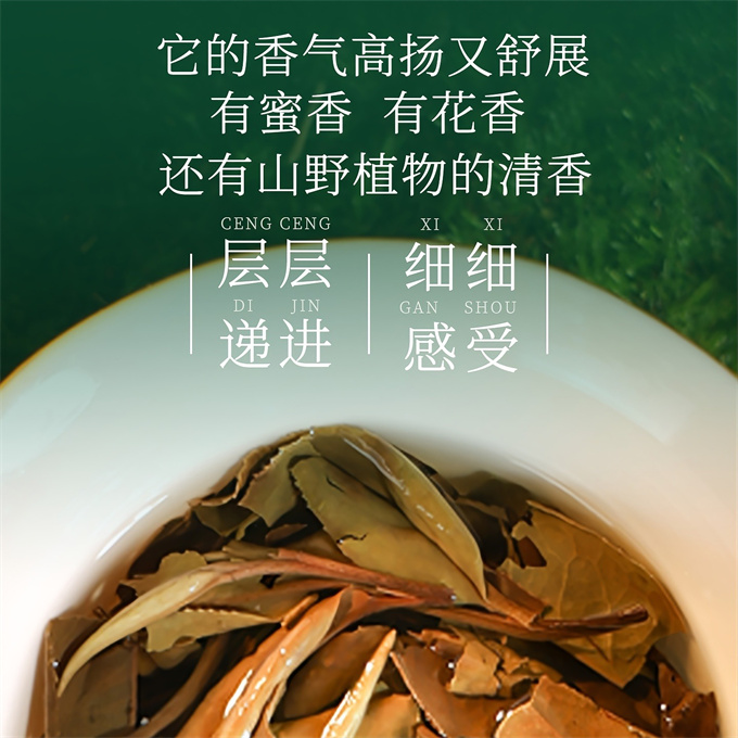 [무결점 鼎白] 정백전기 2022판 목단병 예합 2021년-2022년-2023년 1급 백모단 350g