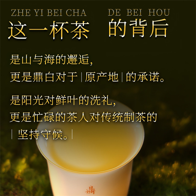 [무결점 鼎白] 정백전기 2022판 목단병 예합 2021년-2022년-2023년 1급 백모단 350g