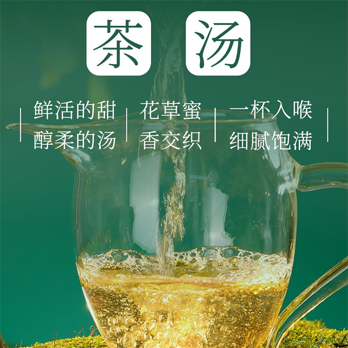 [무결점 鼎白] 정백전기 2022판 목단병 간편포장 2021년-2022년-2023년 1급 백모단 350g