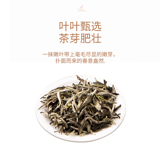 [무결점 鼎白] 2020년 특급목단 특급 백모단 100g