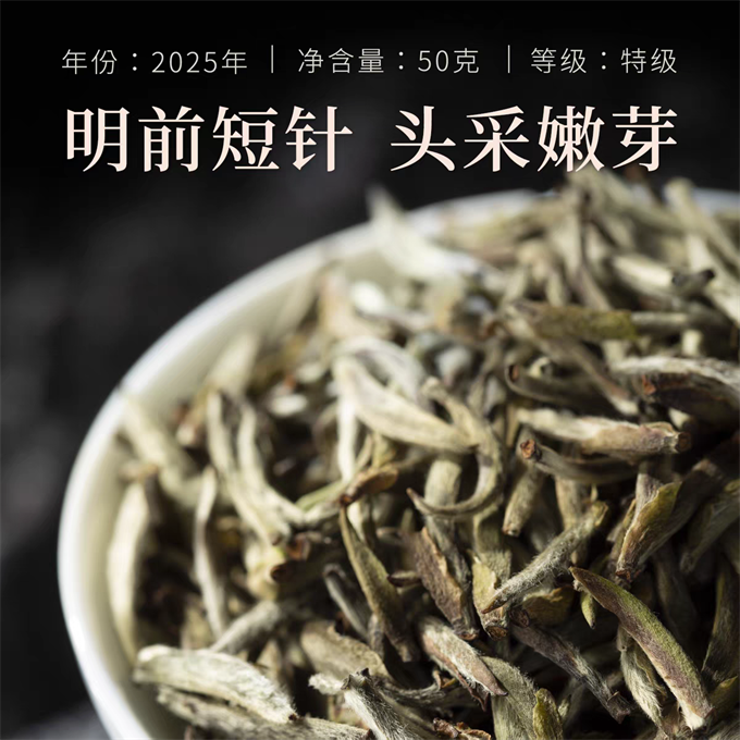 [무결점 鼎白] 정백침호 2025년 명전단침 특급백차 50g