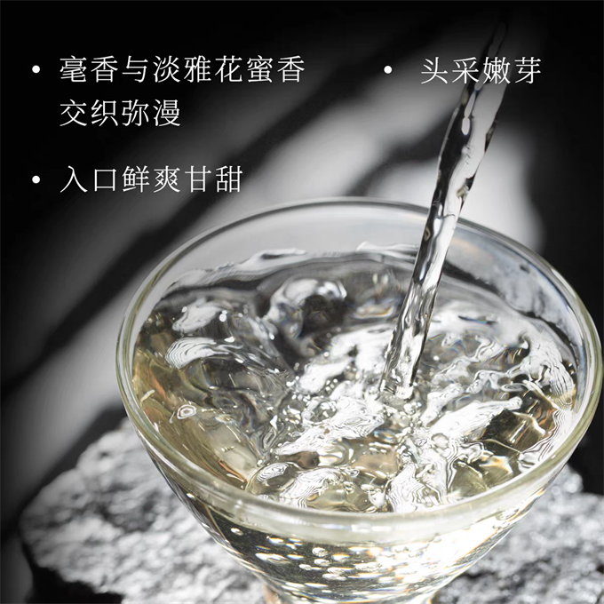 [무결점 鼎白] 정백침호 2025년 명전단침 특급백차 50g