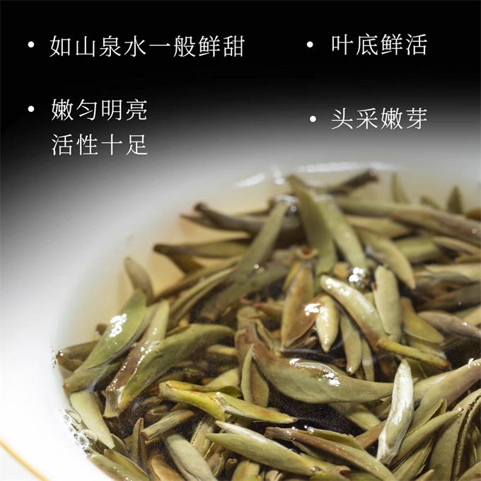 [무결점 鼎白] 정백침호 2025년 명전단침 특급백차 50g