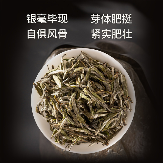 [무결점 鼎白] 정백침호 2025년 황야은침 특급백차 500g