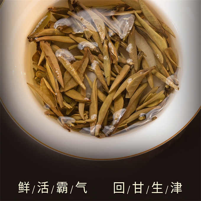 [무결점 鼎白] 정백침호 2025년 황야은침 특급백차 500g
