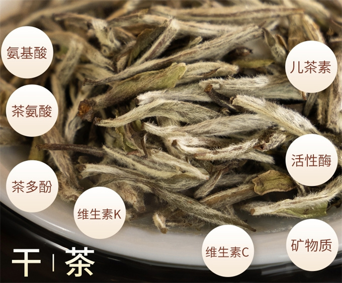 [무결점 鼎白] 정백침호 2022년 백호은침 1급백차 50g