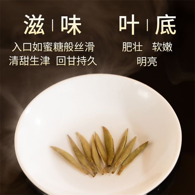 [무결점 鼎白] 정백침호 2022년 백호은침 1급백차 50g