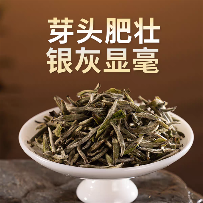 [무결점 鼎白] 정백침호 2024년 태모은침 특급백차 500g