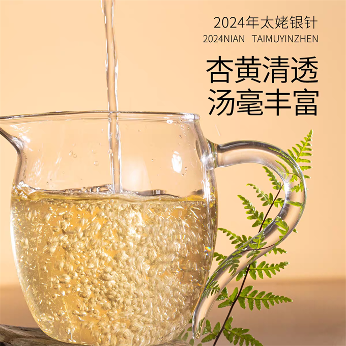 [무결점 鼎白] 정백침호 2024년 태모은침 특급백차 500g