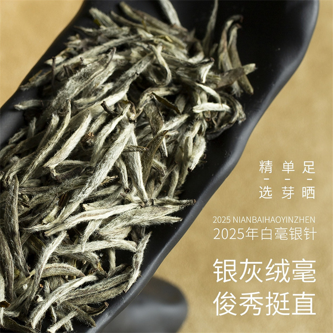 [무결점 鼎白] 정백침호 2025년 백호은침 1급백차 120g