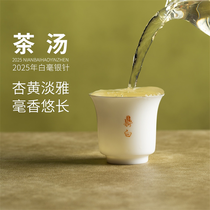 [무결점 鼎白] 정백침호 2025년 백호은침 1급백차 120g