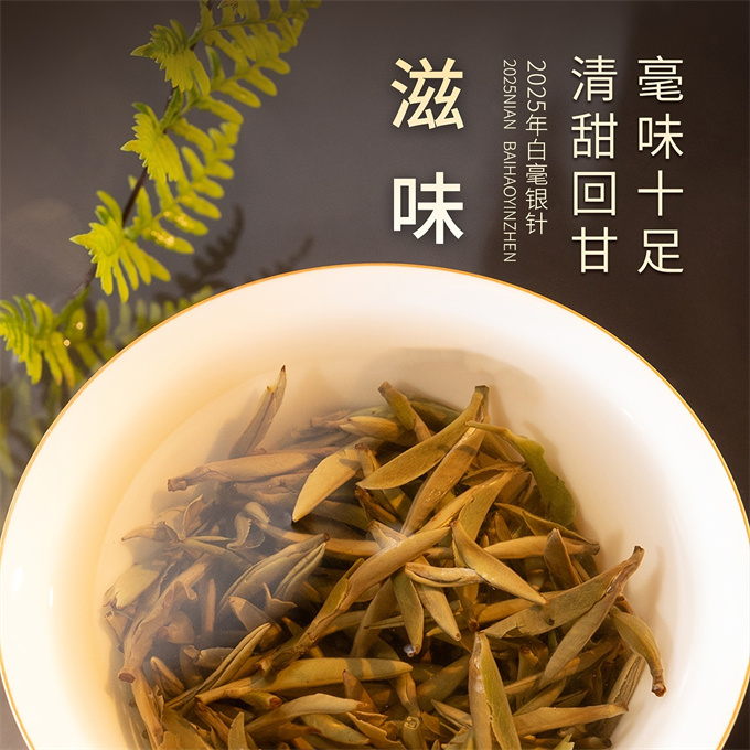 [무결점 鼎白] 정백침호 2025년 백호은침 1급백차 120g
