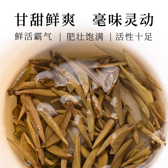 [무결점 鼎白] 정백침호 2025년 황야은침 특급백차 120g