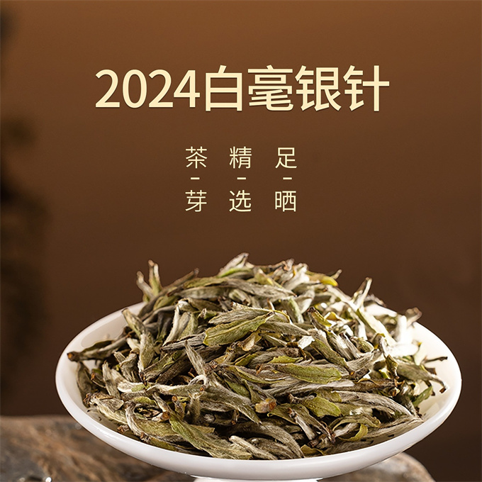 [무결점 鼎白] 정백침호 2024년 백호은침 1급백차 120g