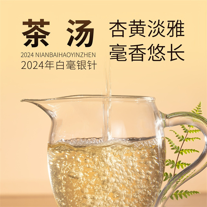 [무결점 鼎白] 정백침호 2024년 백호은침 1급백차 120g