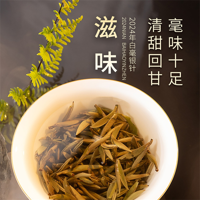 [무결점 鼎白] 정백침호 2024년 백호은침 1급백차 120g