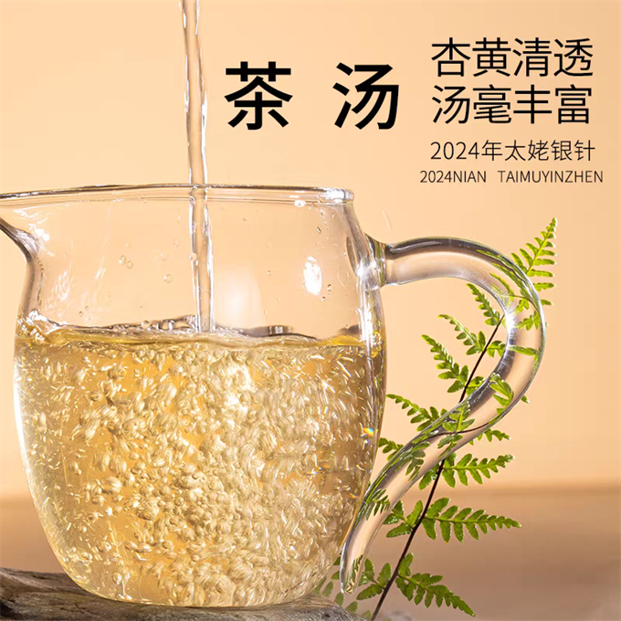 [무결점 鼎白] 정백침호 2024년 태모은침 특급백차 120g