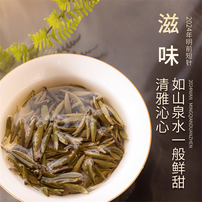 [무결점 鼎白] 정백침호 2024년 명전단침 특급백차 120g