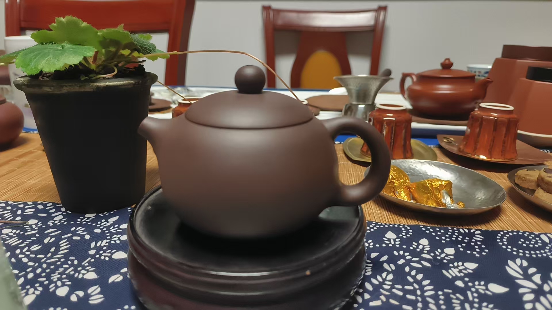 [20만원대 자사호 폭탄] 1차 반수공 생활호 5점
