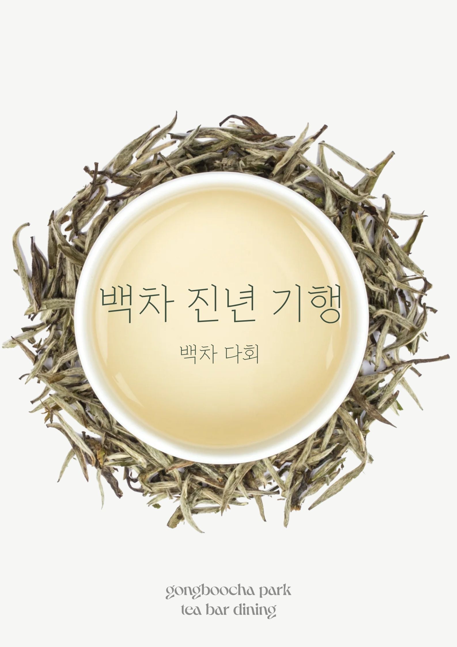 [다회공지] 백차 진년 기행